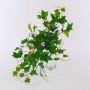 Edera artificiale MAIDYS su bastone, verde, 50cm