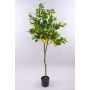 Albero di limoni artificiale AINSLEY con frutti, tronco artificiale, 150cm