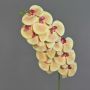 Ramo artificiale di orchidea Phalaenopsis XURI, giallo chiaro-fucsia, 100 cm