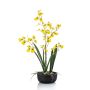 Fiore artificiale orchidea Oncidium DEISHA in vaso decorativo, radici, giallo, 60 cm