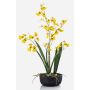 Fiore artificiale orchidea Oncidium DEISHA in vaso decorativo, radici, giallo, 60 cm
