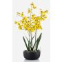 Fiore artificiale Oncidium Orchidea DEISHA in vaso decorativo, radici, giallo, 70 cm