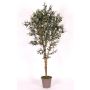Olivo artificiale MIANA, tronchi naturali, con frutti, 175cm - Made in Italy