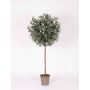 Olivo artificiale MILINO, tronco naturale, con frutti, 150 cm - Made in Italy