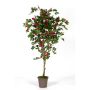 Bougainvillea artificiale ISMUNDE, tronchi reali, fiori, rosa, 210 cm - Made in Italy