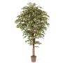 Ficus Benjamini artificiale LINETTE, tronchi naturali, verde-bianco, 200 cm - Made in Italy