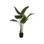 Pianta artificiale Strelitzia PANAGIOTA, verde, 110 cm
