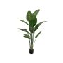Pianta artificiale Strelitzia PANAGIOTA, verde, 170 cm