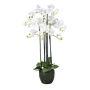 Fiore decorativo orchidea Phalaenopsis PINSARY, globo terrestre, radici, bianco, 95 cm