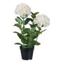 Fiore decorativo ortensia BINEFA, bianco, 60 cm