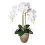 Orchidea Phalaenopsis in tessuto FRIMTOR in vaso di terracotta, radici, bianca, 75 cm