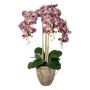 Orchidea Phalaenopsis in tessuto FRIMTOR in vaso di terracotta, radici, verde-lilla, 75 cm