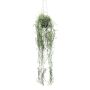 Tillandsia Usneoides decorativa FRULD in vaso decorativo, verde, 80 cm