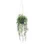 Succulenta artificiale Senecio GRISTY in vaso decorativo, pensile, verde, 55 cm