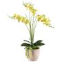 Composizione floreale artificiale orchidea succulenta FININ, vaso in cemento, radici, verde-bianco, 55 cm