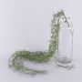 Tillandsia Usneoides artificiale CEVIN, gambo, verde, 100cm