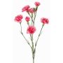 Ramo artificiale di garofano PIARA, fucsia, 60cm, Ø3-5cm
