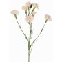 Ramo artificiale di garofano PIARA, rosa pallido, 60cm, Ø3-5cm
