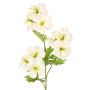 Pianta artificiale ramo di geranio ZEDENA, bianco-verde, 70 cm, Ø 6 cm
