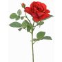 Fiore artificiale rosa WAIOLA, rosso, 65 cm, Ø 11 cm