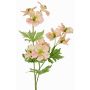 Ramo artificiale di geranio ZEDENA, pesca-rosa, 70cm, Ø6cm