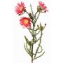 Fiore artificiale di caprifoglio BEYA, rosa-fucsia, 60cm, Ø6cm