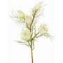Ramo decorativo protea NOHEA, bianco, 60cm, Ø3-6cm