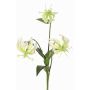 Fiore decorativo Gloriosa XELA, bianco-verde, 50cm, Ø4-7cm