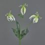 Fiore decorativo Gloriosa XELA, bianco-verde, 50 cm