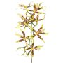 Orchidea artificiale Brassia ORELA, giallo-rosso, 90cm