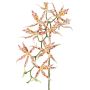 Orchidea artificiale Brassia ORELA, bianco-rosso, 90 cm