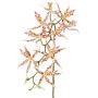 Orchidea artificiale Brassia ORELA, bianco-rosso, 90cm