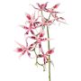 Orchidea Brassia artificiale ORELA, rosa-rosa, 90 cm