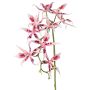 Orchidea Brassia artificiale ORELA, rosa-fucsia, 90cm