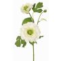 Ramo artificiale ranuncolo SAGARA, bianco-verde, 45 cm, Ø 5-8 cm