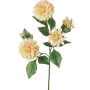 Ramo decorativo dalia artificiale QUINKA, crema-rosa, 70 cm