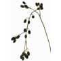 Ramo decorativo di more URUMA con frutti, nero, 100cm