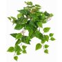 Pianta decorativa edera SHELLEY su bastone, Eco Collection, verde, 55cm