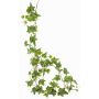 Ghirlanda di edera artificiale BESSIE, Eco Collection, verde-bianco, 160cm