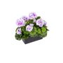 Gerani artificiali FLOREANA in fioriera, 2 pezzi, viola-bianco, 24x11x35 cm