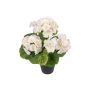 Geranio artificiale ELISABETTA in vaso decorativo, bianco-rosa, 35 cm