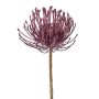 Fiore artificiale cuscino di spilli Protea ZIRMO, lilla, 50 cm