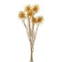 Mazzo decorativo di cardo sferico DRAVLE, dorato, 45 cm