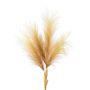 Piuma di pampa artificiale ZALRA, bastoncino, marrone-beige, 105cm