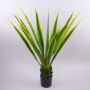 Agave artificiale CHERIE, verde-giallo, 110cm