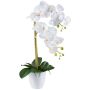 Fiore decorativo Orchidea Phalaenopsis BLENTOR in vaso di melamina, radici, bianco, 55 cm