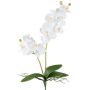 Fiore decorativo orchidea Phalaenopsis KRUZBER, bastoncino, radici, bianco, 55 cm