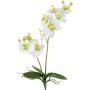 Fiore decorativo orchidea Phalaenopsis KRUZBER, bastoncino, radici, bianco-verde, 55 cm