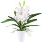 Orchidea Cymbidium in tessuto BLORKE in vaso in melamina, radici, bianco-rosa, 55cm