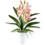 Orchidea Cymbidium BLORKE in tessuto con vaso in melamina, radici, verde-rosa, 55cm